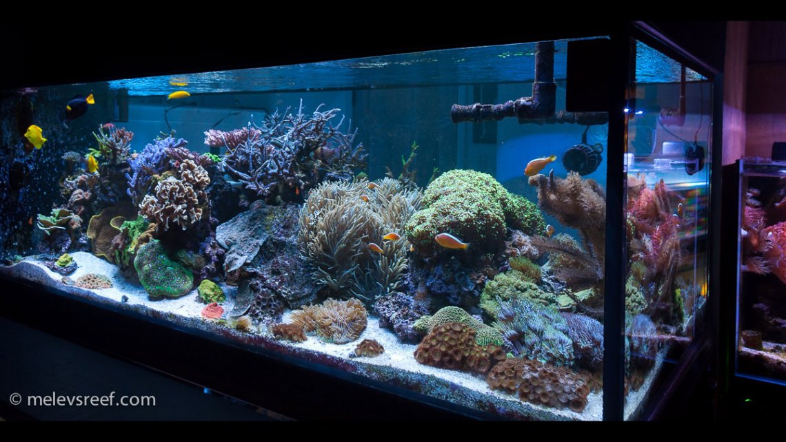 fts-400g-hdr